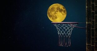 Kırkağaç Spor Kulübü: Yerel Sporcuların Başarı Hikayeleri